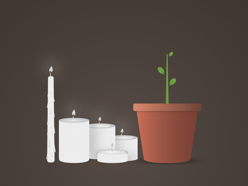 Candles and Plant