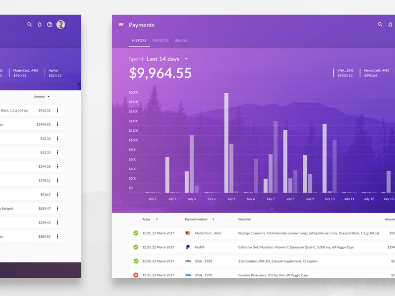 Web Payments History Template