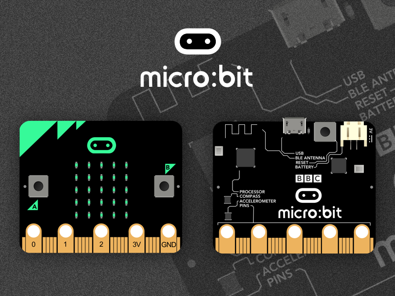 BBC Micro:bit Computer Sketch freebie - Download free resource for