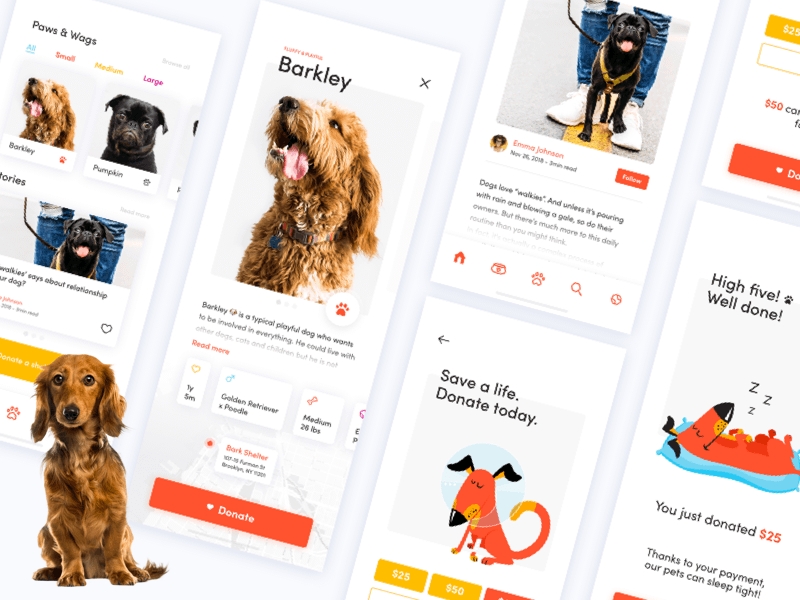Dog Donation App Concept