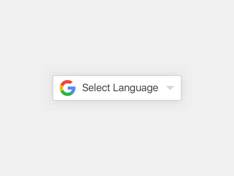 Google Translate Button