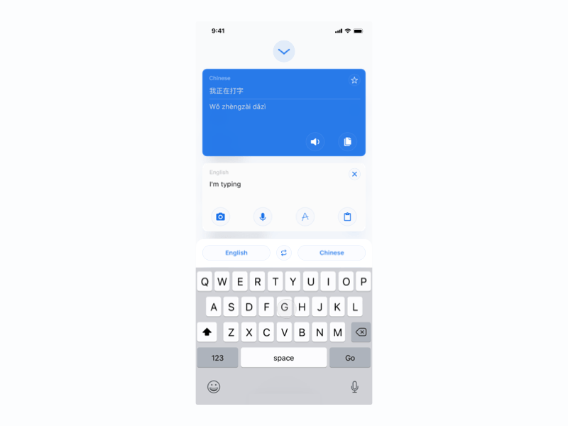 download the google translate app