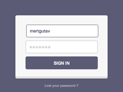 Login Form