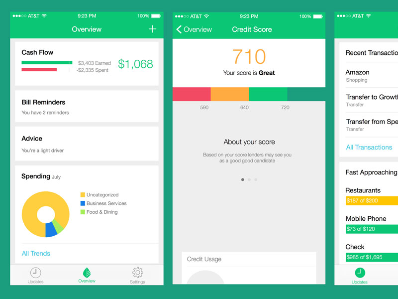 Mint: Money Manager iOS App UI