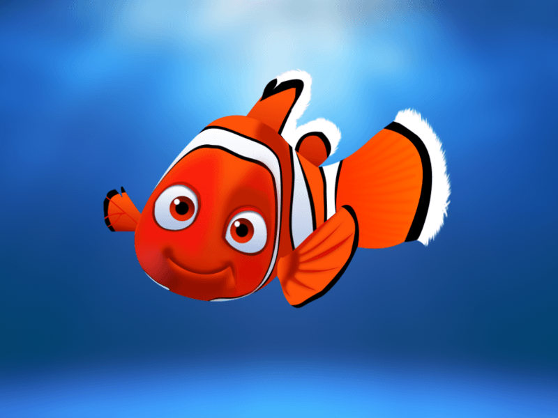 Nemo in Sketch Illustration