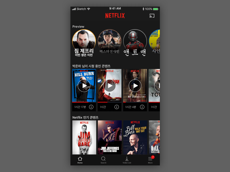 Netflix iOS Home View