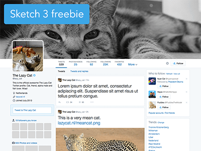Twitter profile Sketch 3 template