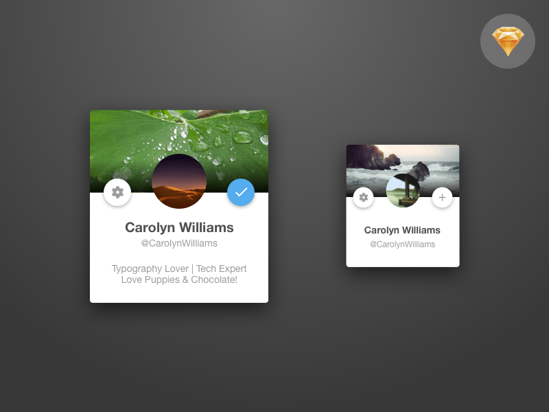 Twitter Card Concept