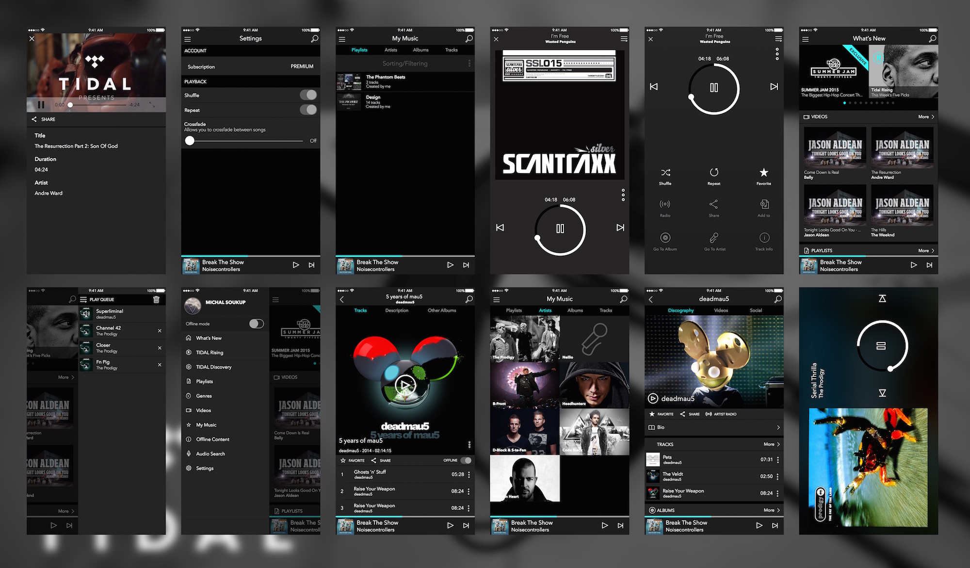 Tidal Music App UI