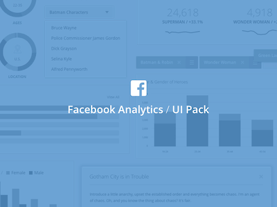Exclusive Facebook Analytics UI