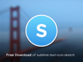 Sublime text icon