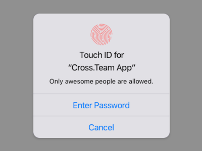 iOS Touch ID Alert Symbol