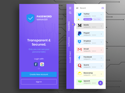 Password Manager Concept