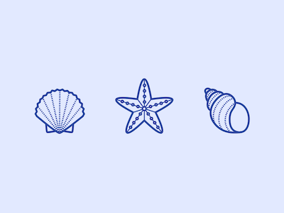 3 Seashell Icons