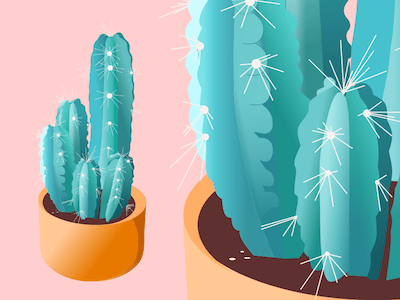 Tall Cactus Illustration