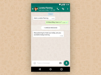 WhatsApp Chat Detail View